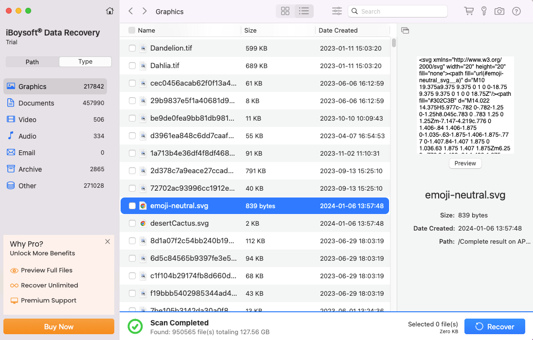 preview files